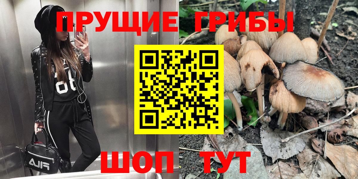 Галлюциногенные грибы Magic Shrooms  Вход с VPN  Славгород  Галлюциногенные грибы Psilocybine cubensis 