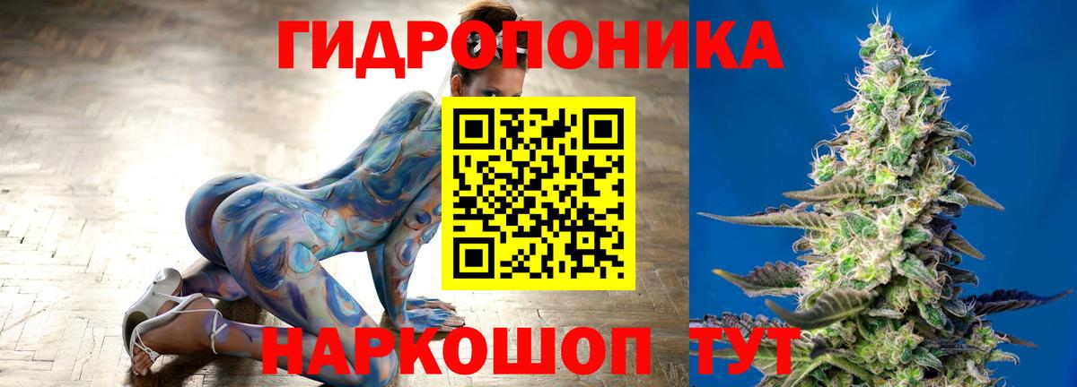 МАРИХУАНА OG Kush Славгород